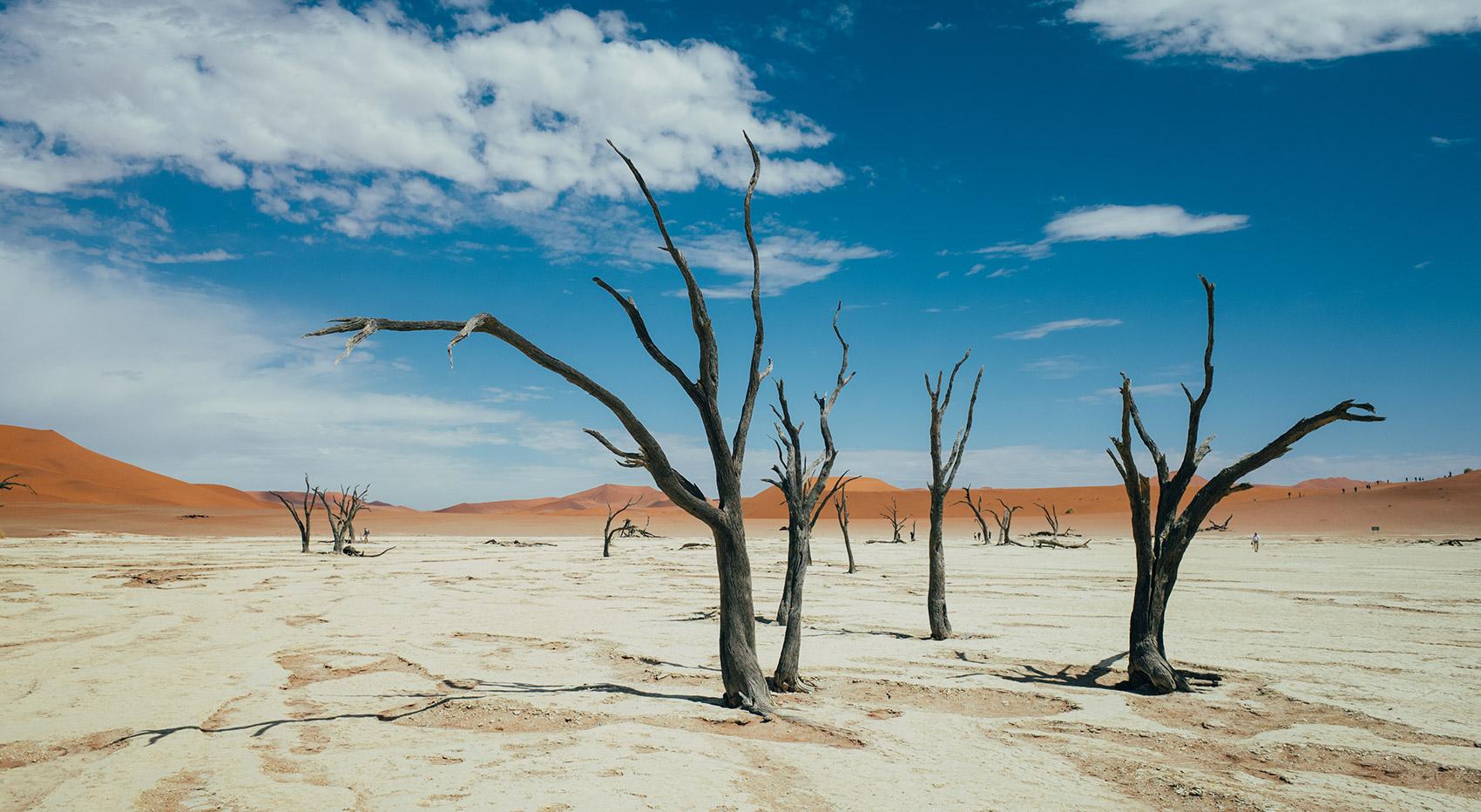 Klassisches Bild von Deadvlei in Namibia Klassisches Bild von Deadvlei in Namibia