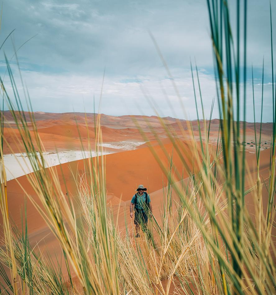 Namib Desert