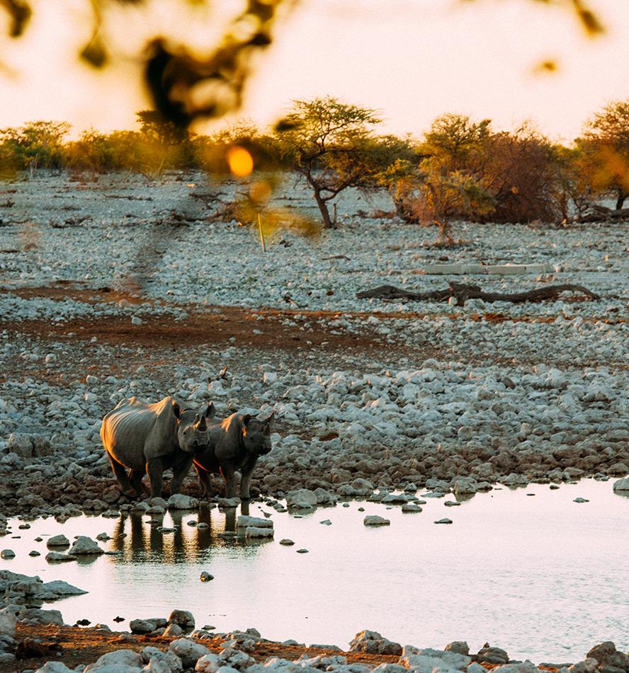 Etosha National Park
