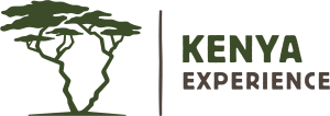 Kenya-Experience