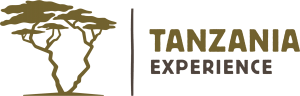 Tanzania-Experience
