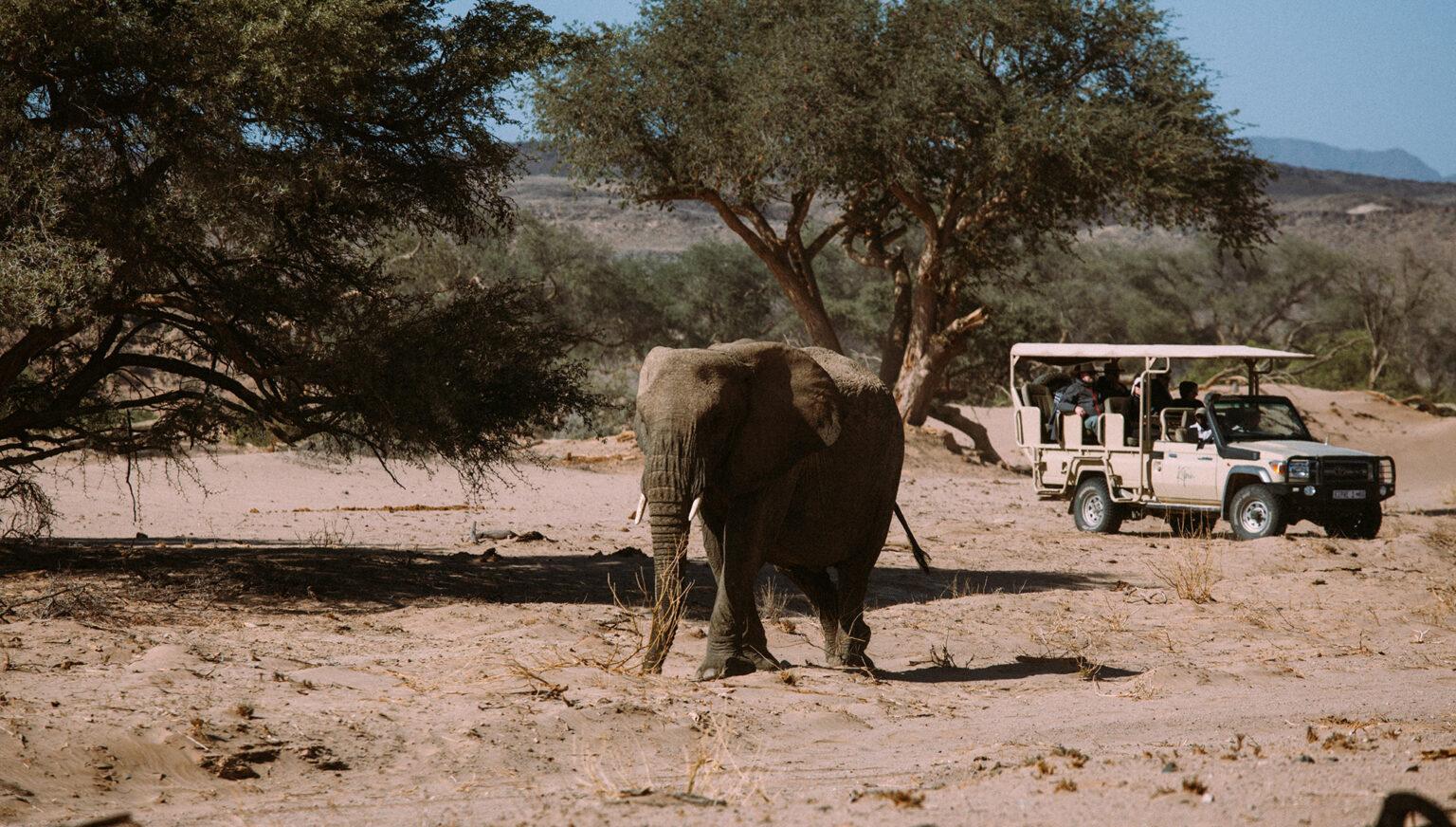 Damaraland In Namibia Safaris Travel Guide