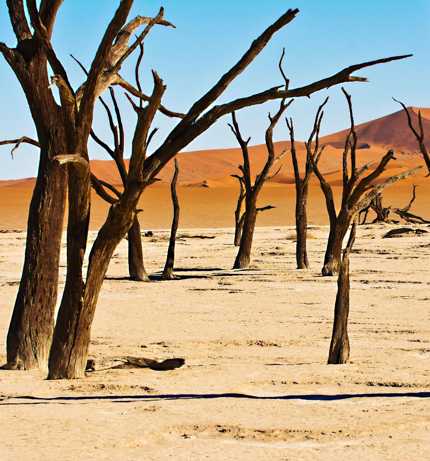 Namib Desert