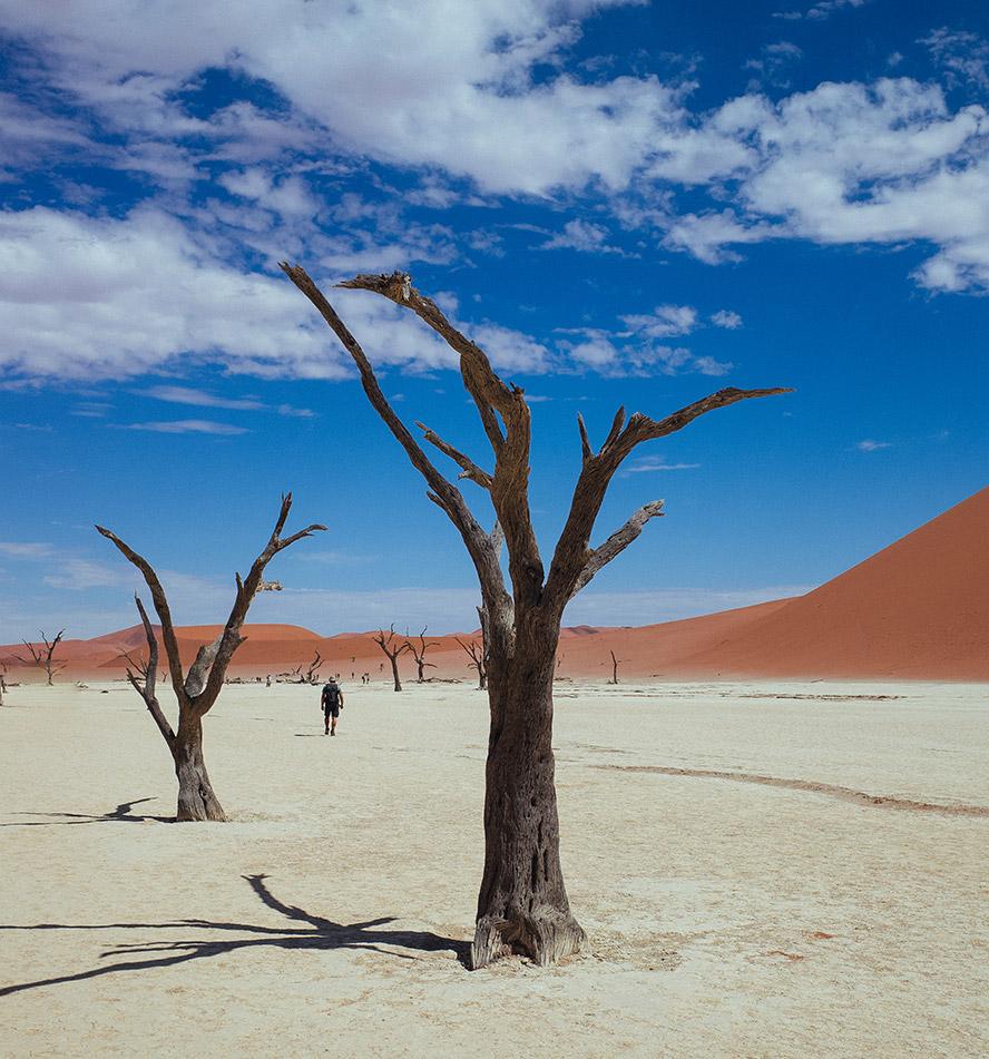 Namib Desert