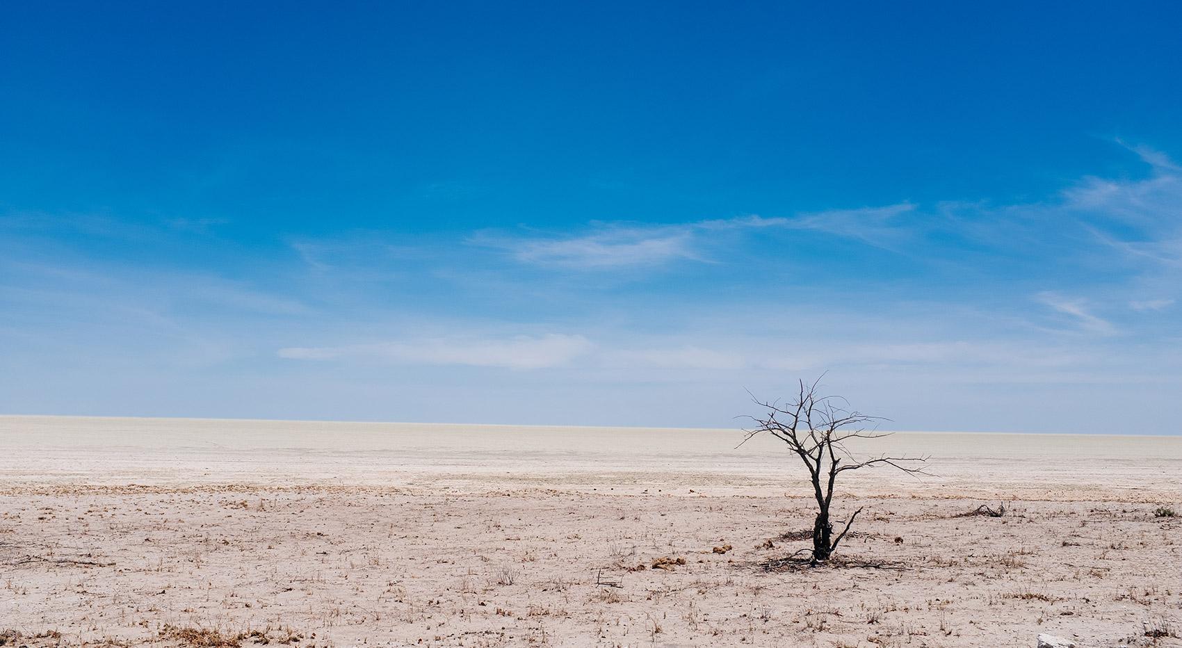 Etosha-Pfanne Namibia Etosha-Pfanne Namibia