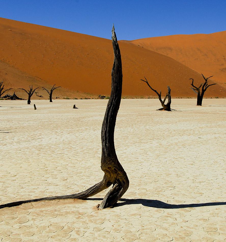 Namib Desert