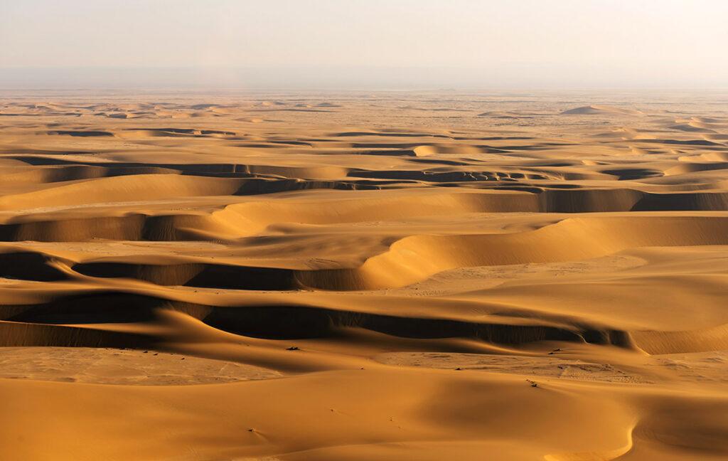 Dünenmeer in der Namib-Wüste