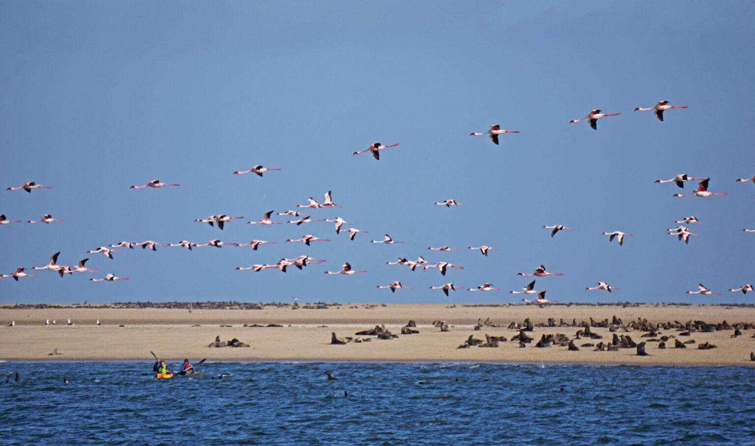 Walvis Bay in Namibia Is it worth a visit?