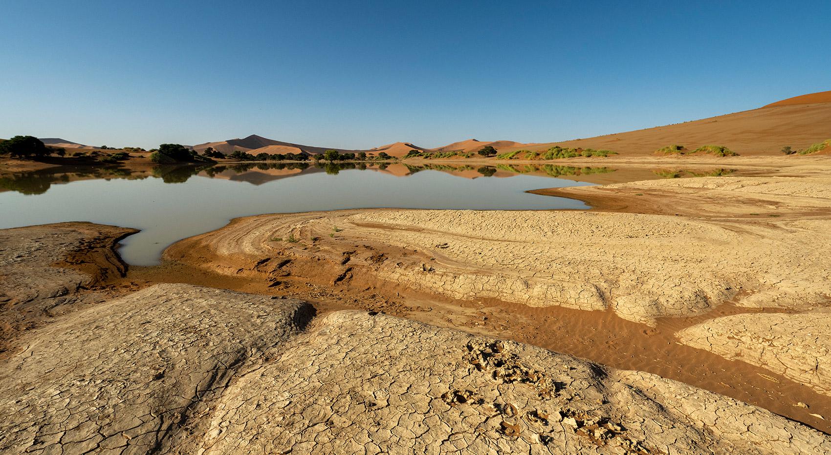 Beeindruckende Landschaft in der Namib-Wüste