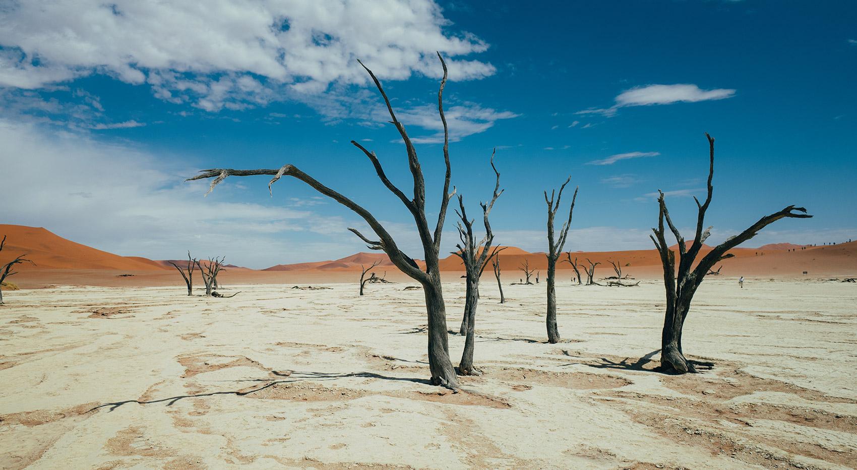Wann ist die beste Reisezeit für die Namib-Wüste?
