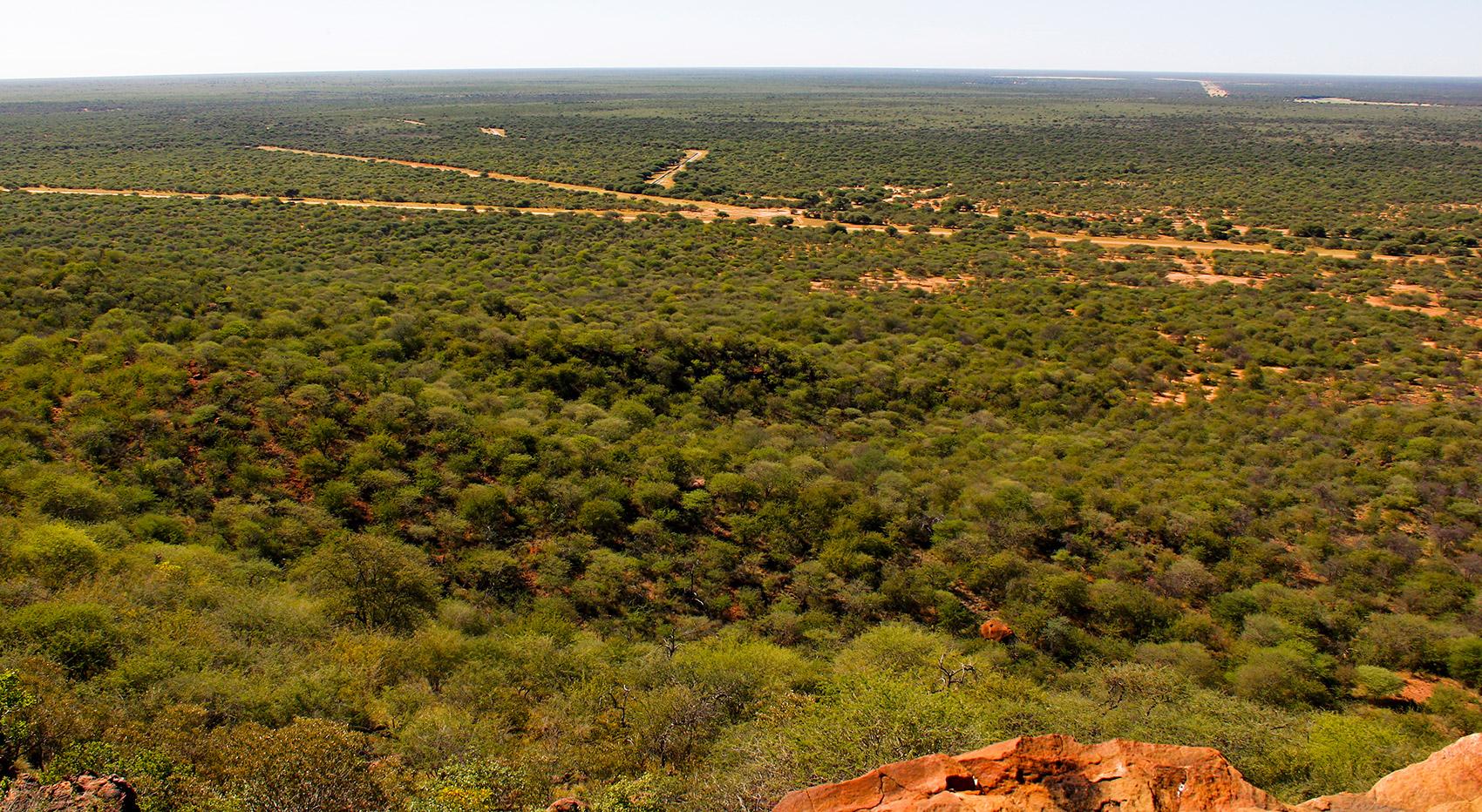 Waterberg Region Aussicht Namibia Waterberg Region Aussicht Namibia