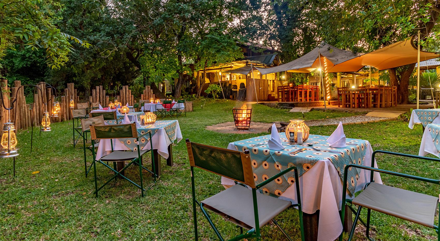 Gecko lodge South Africa Gecko lodge South Africa
