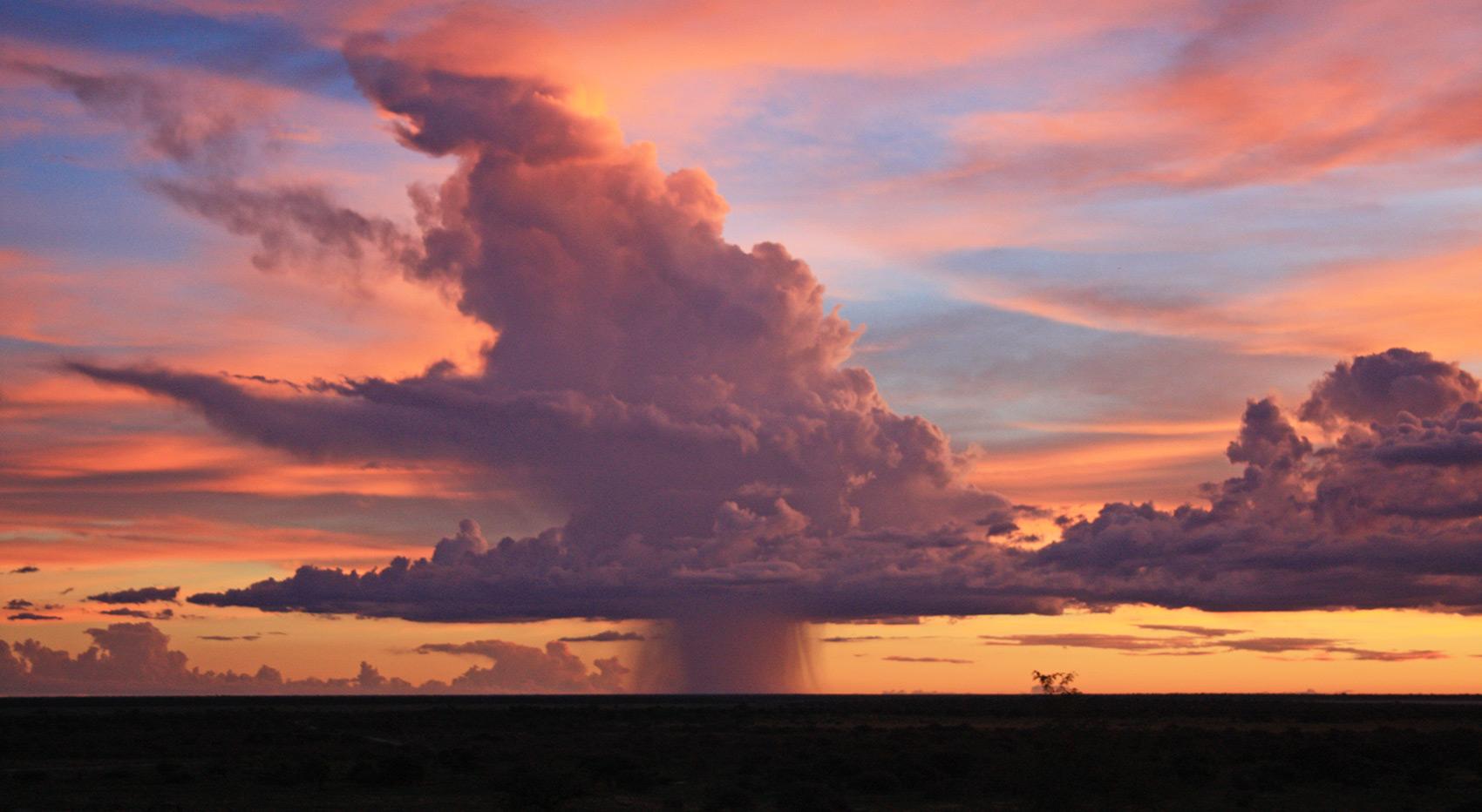 Rain falls from a cone-shaped cloud in a pink, purple and orange sky during the rainy season in Etosha National Park.