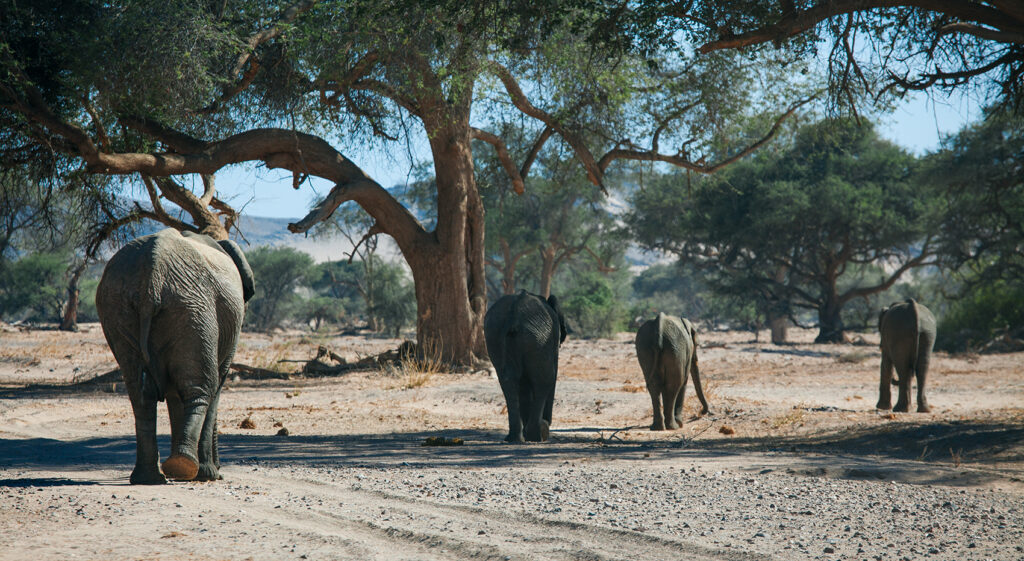 Namibia in July – prices, weather, activities & more