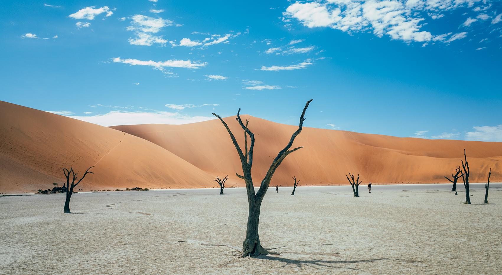 The parched landscape of Deadvlei. Dead trees and dunes in the background. July is one of the best times to visit the Namib Desert. The parched landscape of Deadvlei. Dead trees and dunes in the background. July is one of the best times to visit the Namib Desert.
