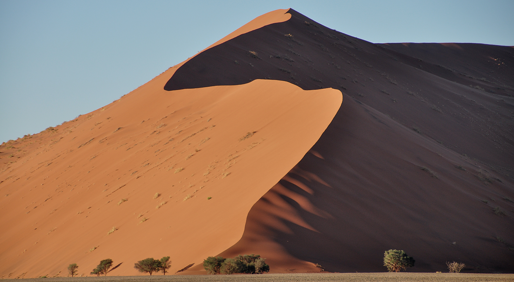 A large dune in Sossusvlei. The right side is in the shade.
