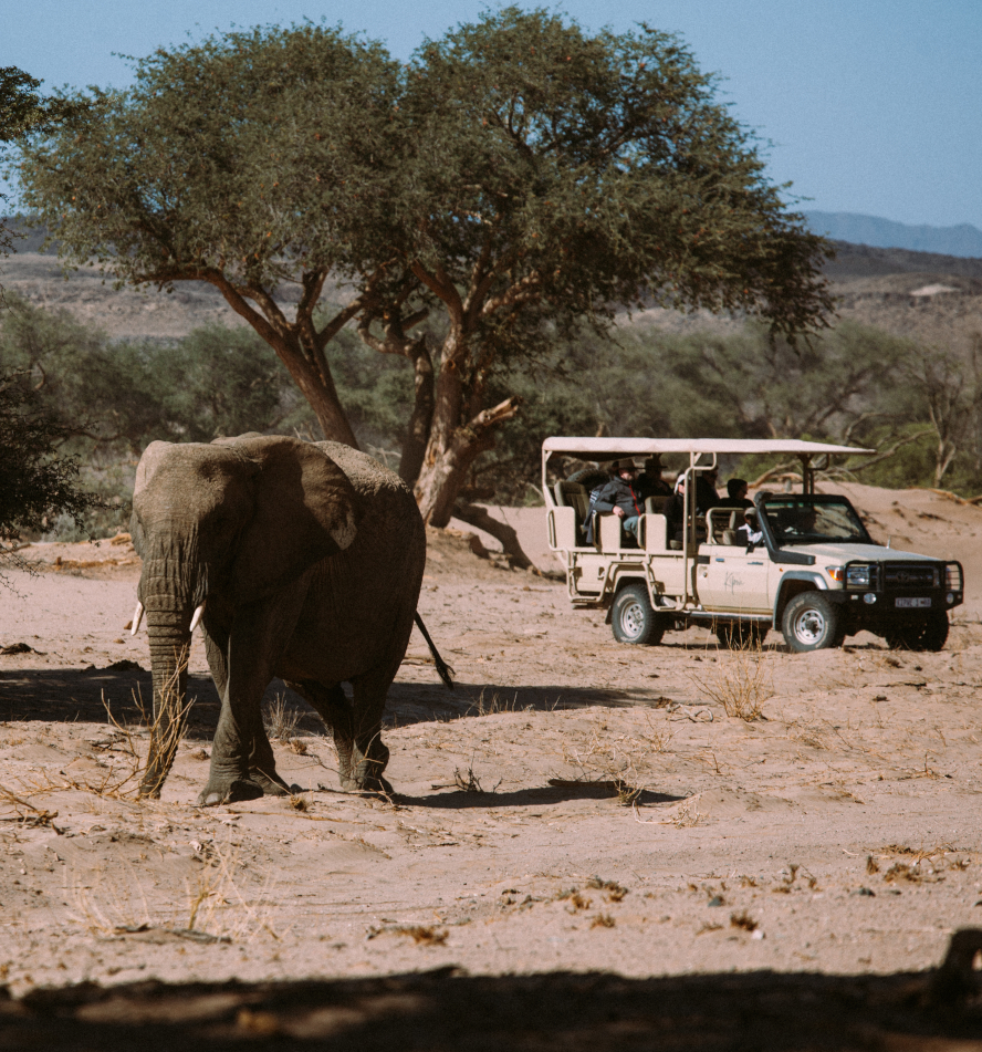 Damaraland