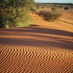 Sandwellen auf einer Düne in der Kalahari