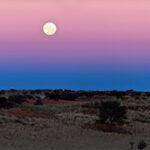 Der Vollmond in einem violett-blauen Abendhimmel über dem Horizont.