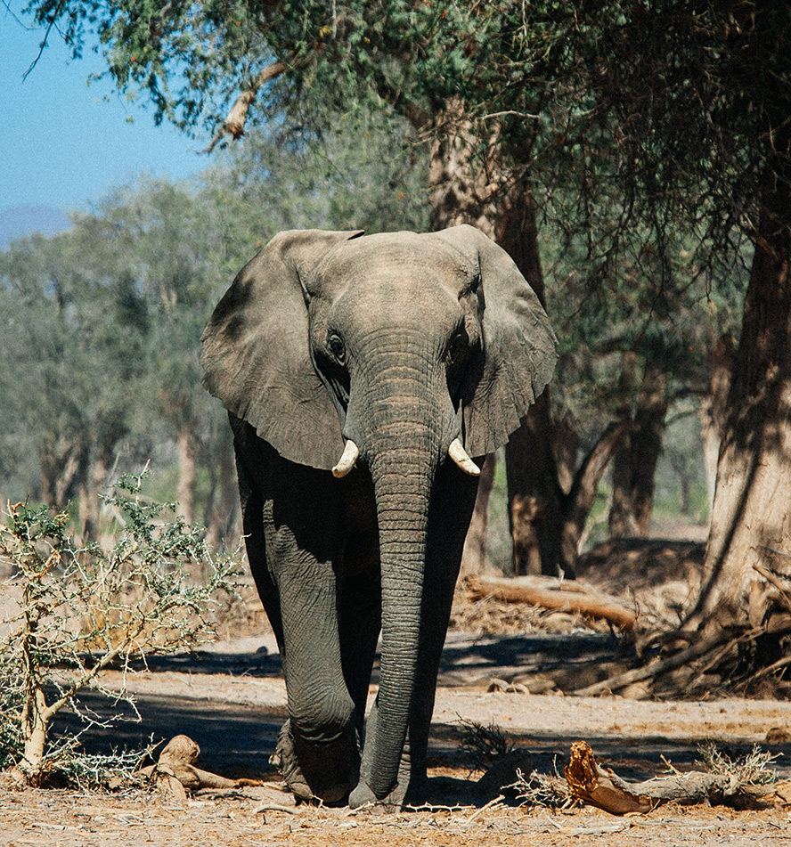 Hoanib, Huab und Ugab Flüsse