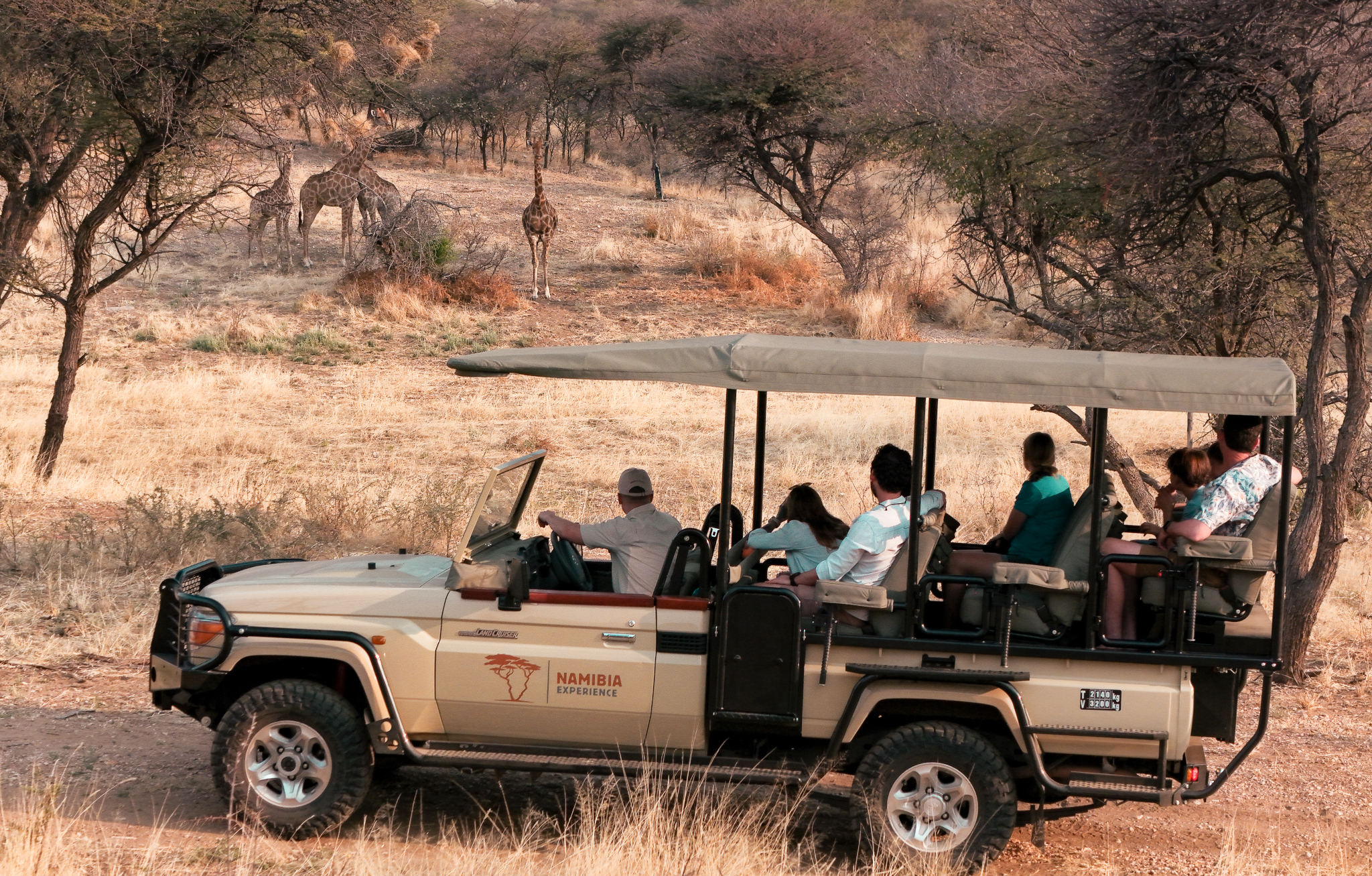 Guests observing a group of giraffes from the comfort of an Etosha Game Viewer | Namibia-Experience