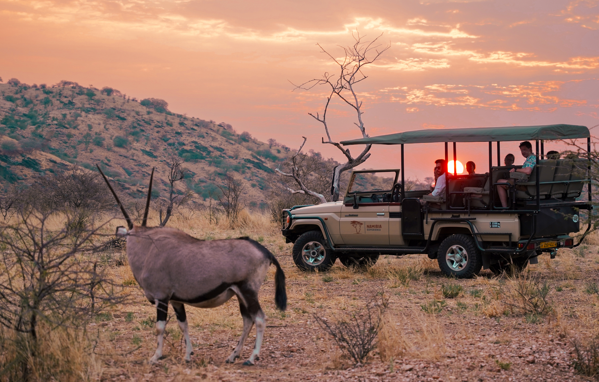 As the sun sets, a group of guests in an Etosha Game Viewer watch an oryx that has turned to look at them. | Namibia-Experience