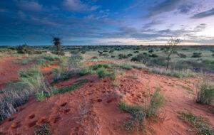 Stunning desert scenery and a dramatic sky