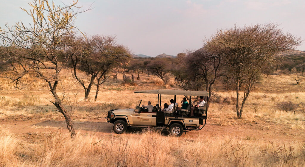 Guests in the Namibia-Experience open game drive vehicle in Etosha National Park.