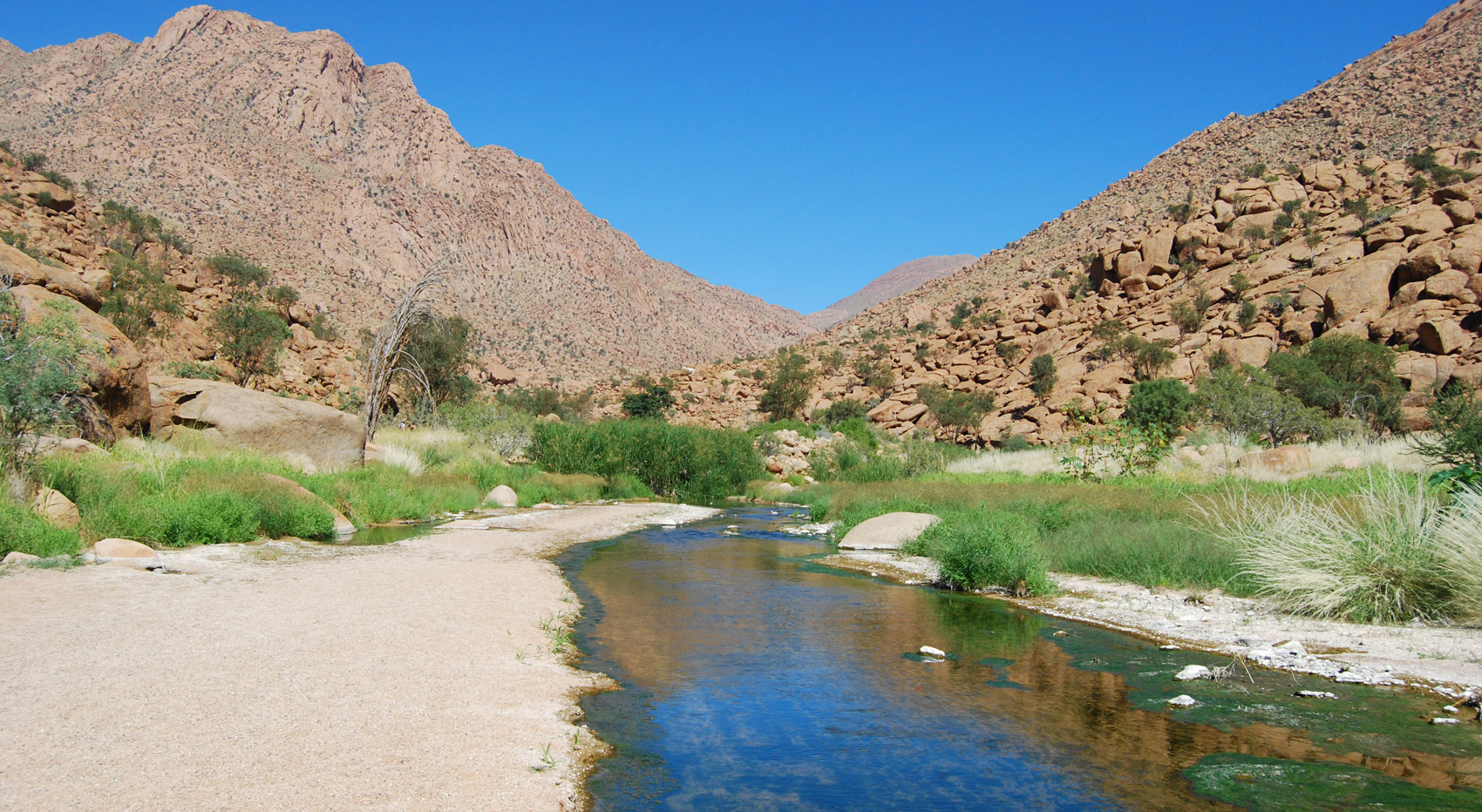 A stream in rainy season along the trail of the White Lady Hike& in Brandberg Namibia.
