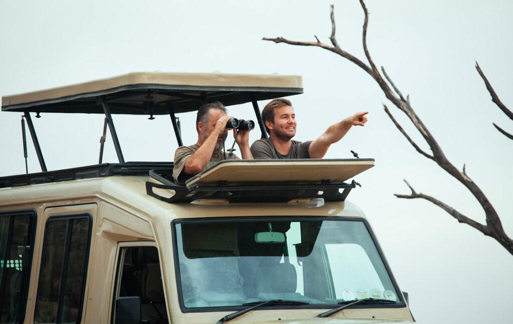 Guests in a vehicle spotting wildlife through the pop up roof.